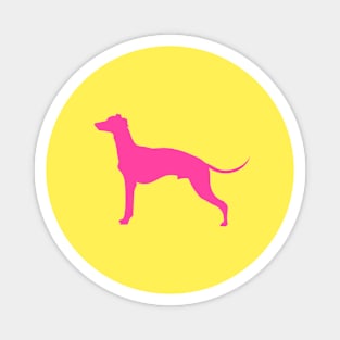 Whippet Coloured Silhouette Design Magnet